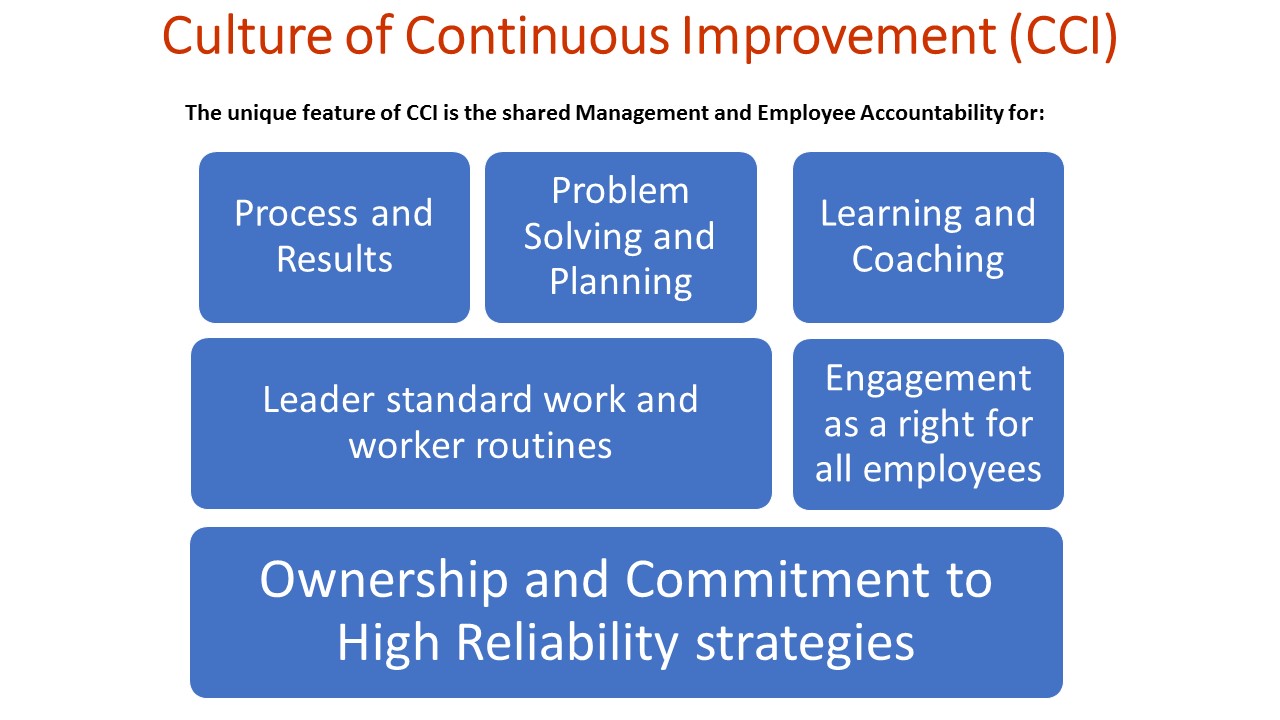 Culture Of Continuous Improvement - Maurice Driscoll Consulting